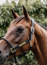 Load image into Gallery viewer, Kentucky Leather Anatomic Halter Neck Piece
