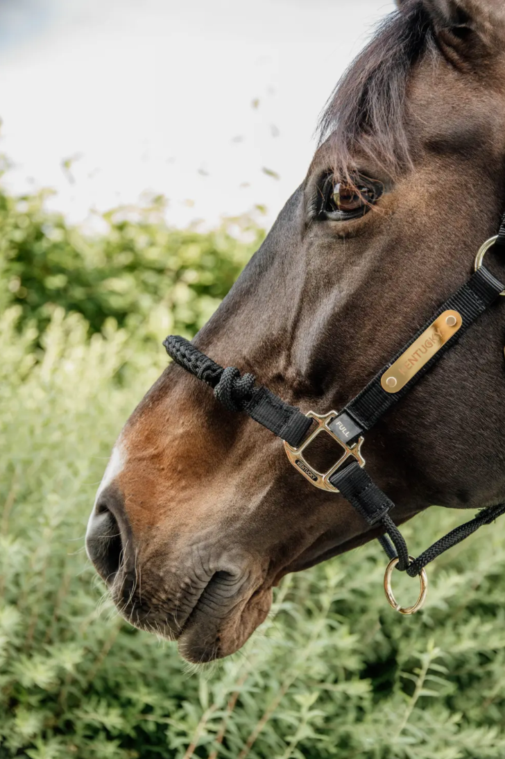 Kentucky Control Halter Neck Piece