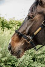 Load image into Gallery viewer, Kentucky Control Halter Neck Piece
