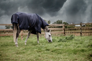 Kentucky Turnout Rug All Weather 100% Waterproof 150g