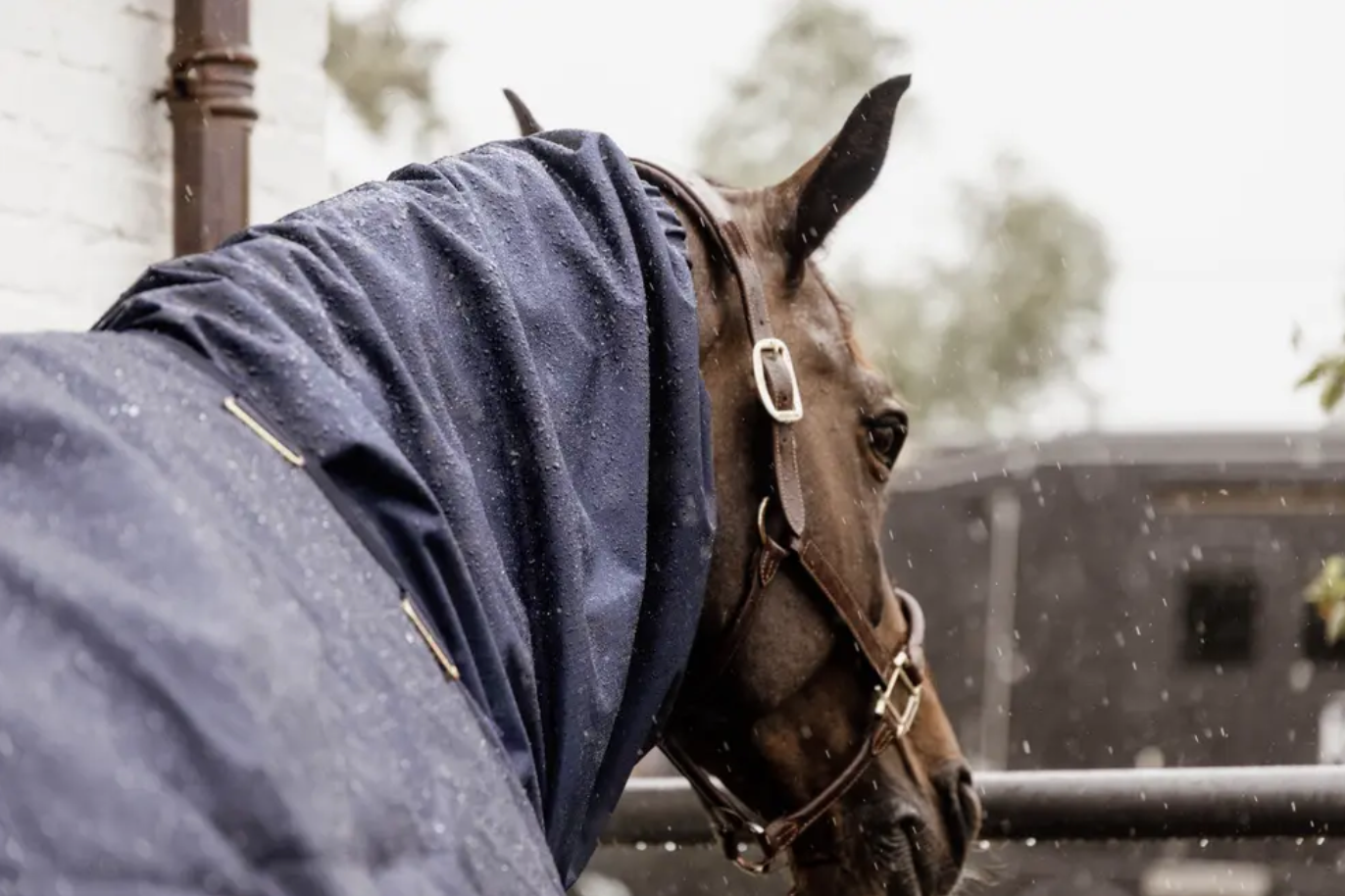 Kentucky Waterproof Hose Scarf