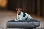 Load image into Gallery viewer, Dog Bed Pillow
