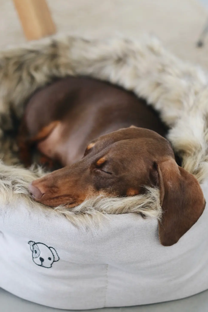 Dog Bed Cave