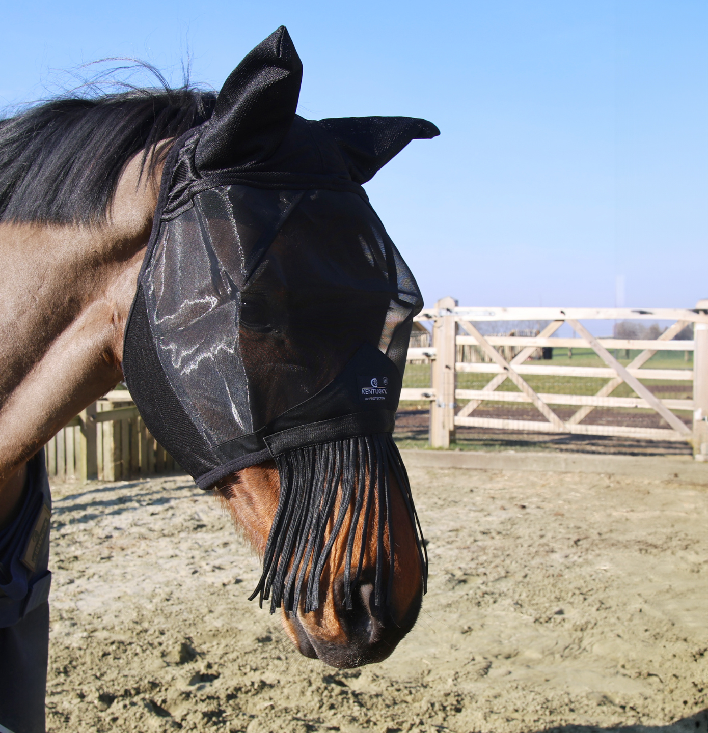 Fly mask classic with ears & nose tassels