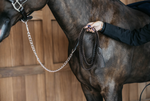 Load image into Gallery viewer, Dy&#39;on Plaited Lead with Chain 2.4m
