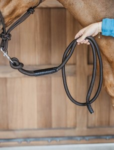 Dy'on Lead with removable Snap 2m