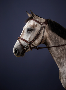 Dy'on "Difference" bridle