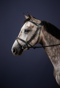 Dy'on "Difference" bridle