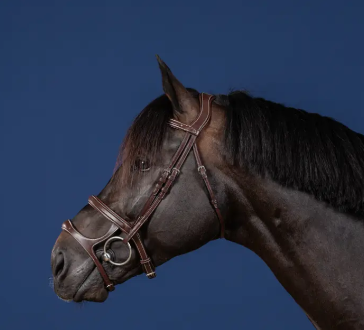 Dy'on Double Noseband bridle