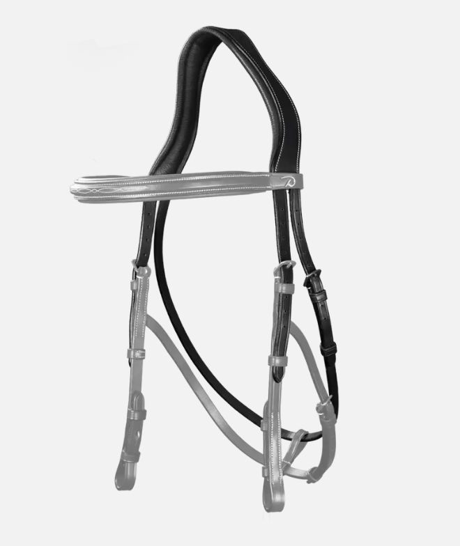 Dy'on Hackamore Headpiece