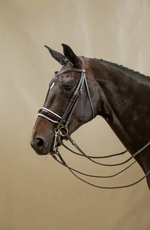 Load image into Gallery viewer, Dy&#39;on Double Bridle Patent Large Crank Noseband with White padding Flat Leather
