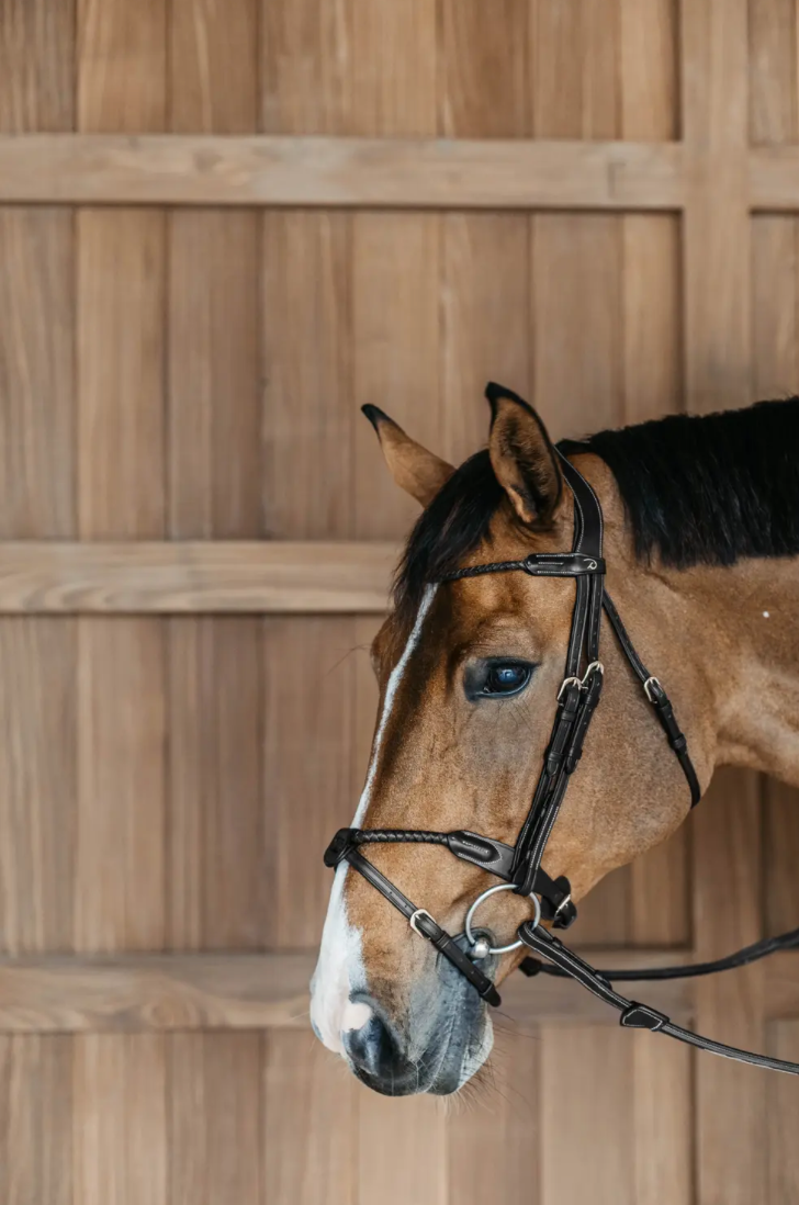 Dy'on Braided Noseband bridle With Removable Flash