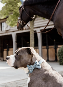 Kentucky Velvet Bow Tie