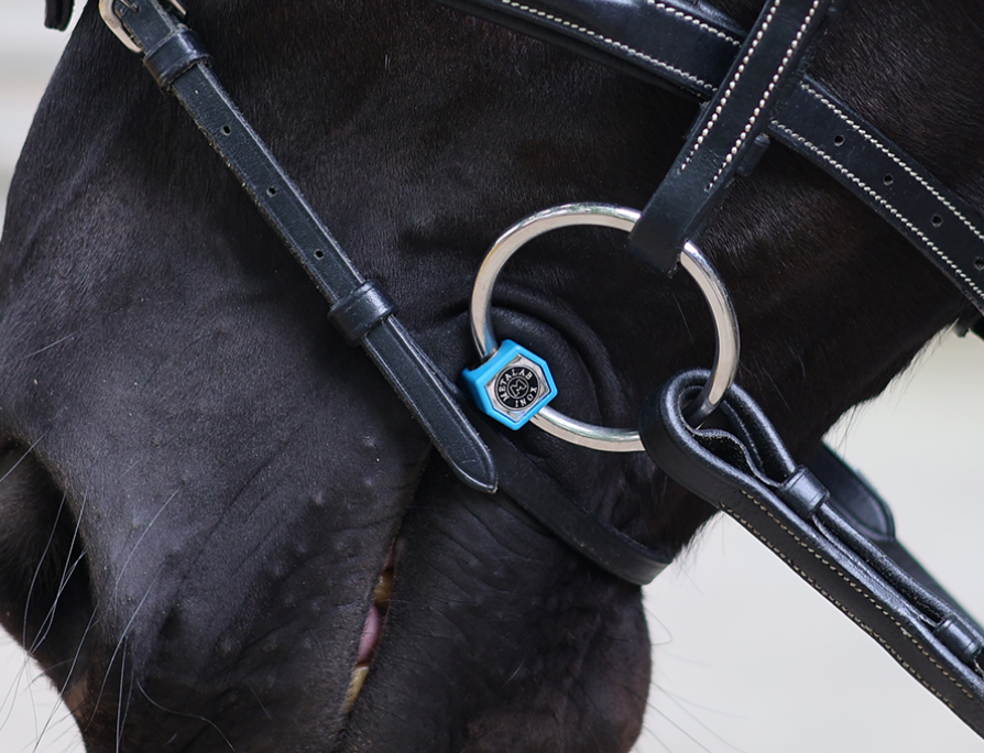 Metalab Loose ring snaffle flexible Flexi port