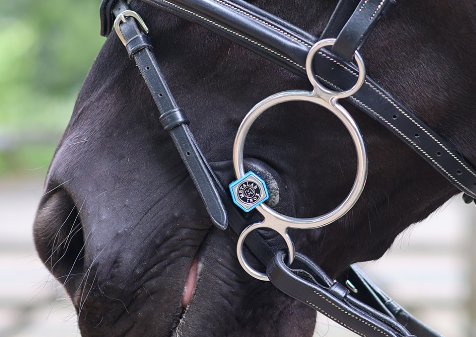 Metalab 3 ring flexible flexi with port