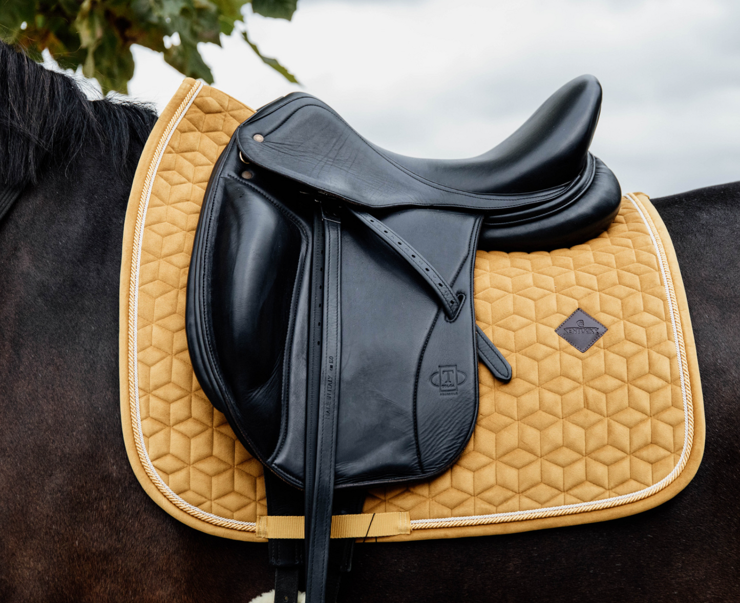 Kentucky Saddle Pad Velvet Dressage