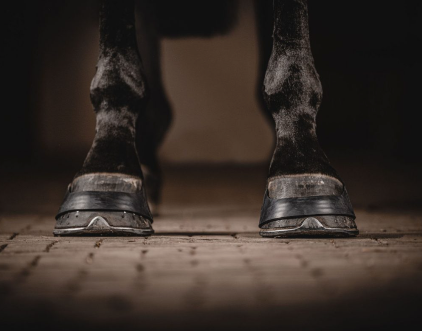 Trust rubber overreach boots