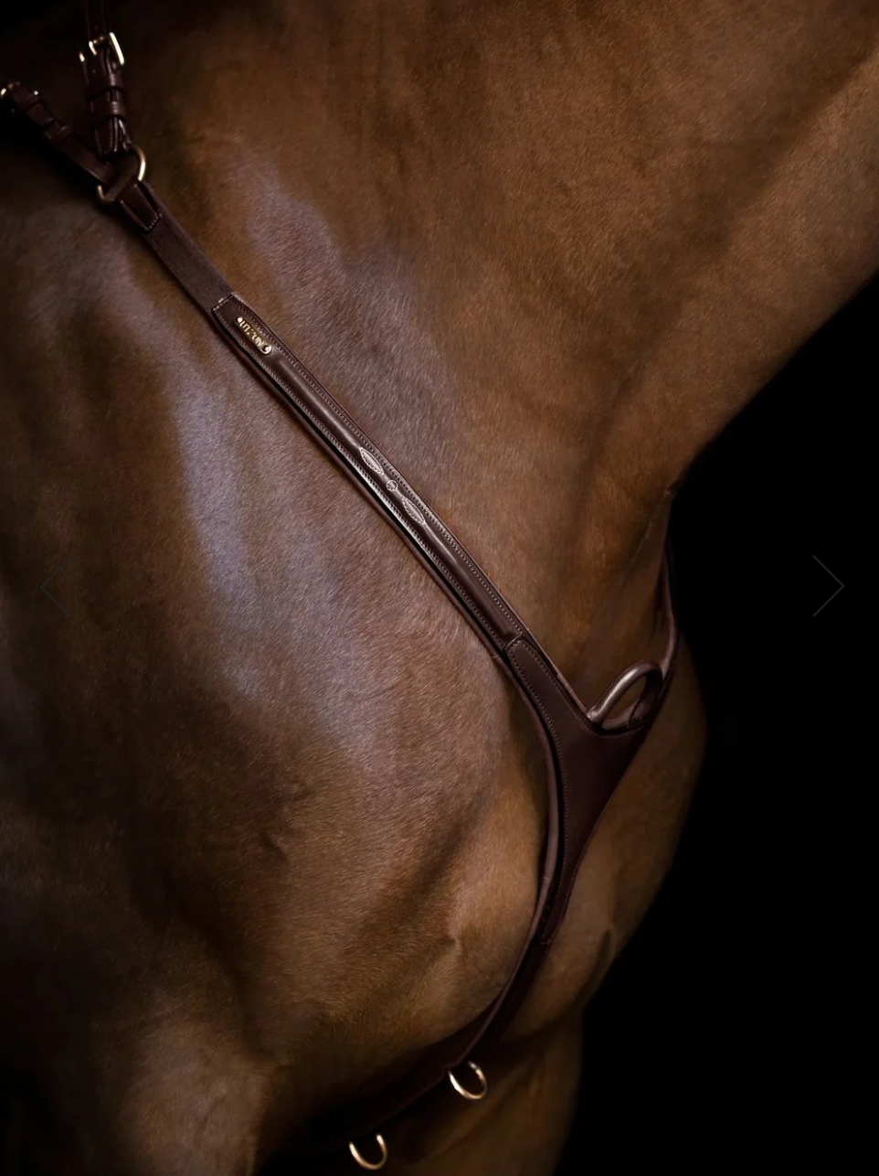 Utzon Equestrian Belmond showjumping Breastplate