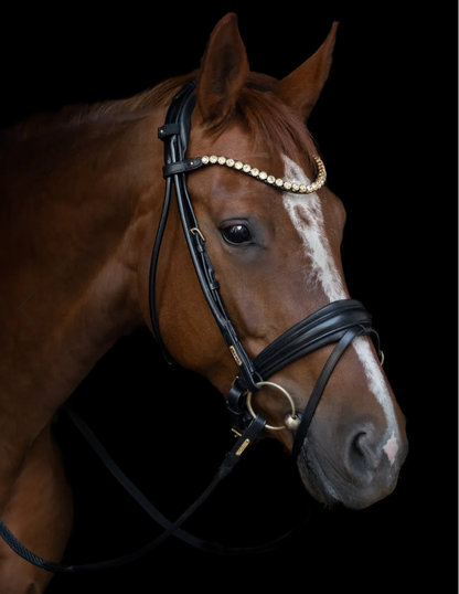Utzon edinburgh bridle  matte noseband