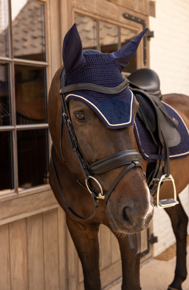 navy ear bonnets