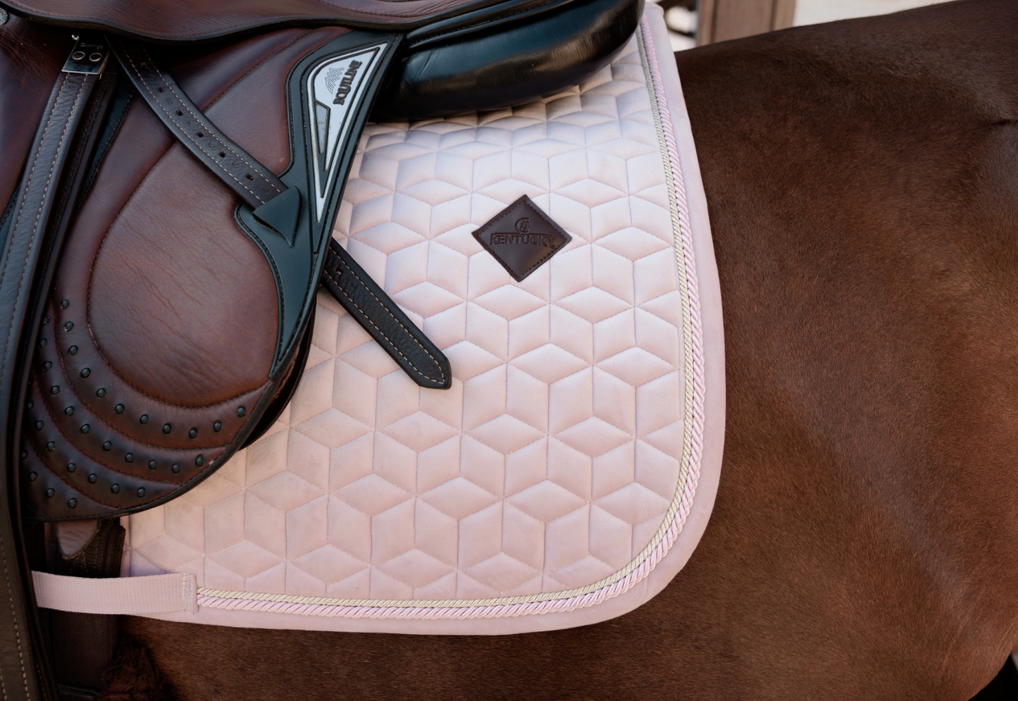 light pink velvet jumping saddle pad