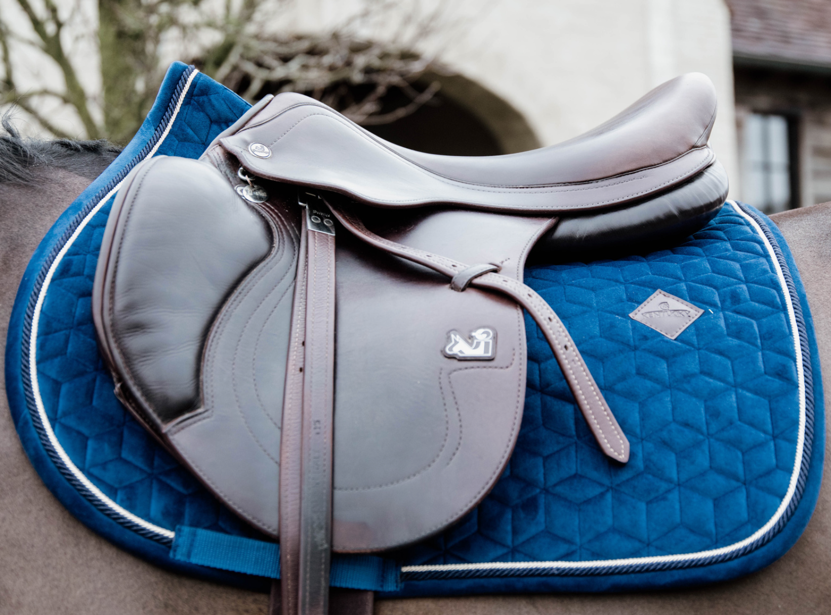 velvet blue show jumping saddle pad
