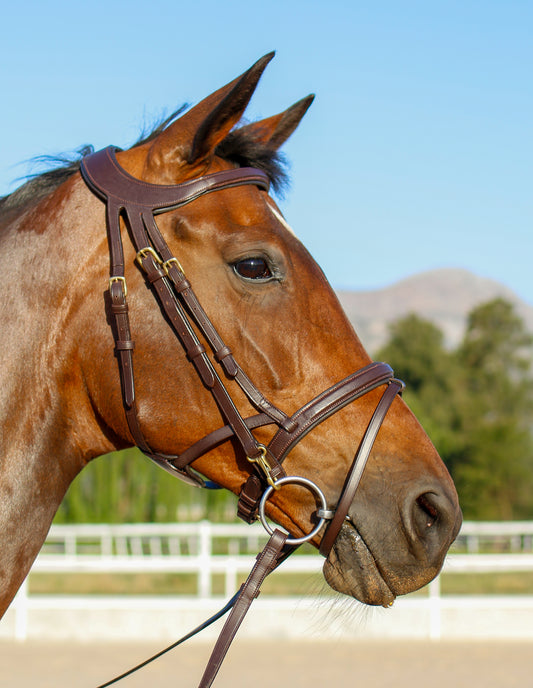 Equi Boutique Poll Relief bridle
