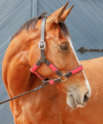 Load image into Gallery viewer, Indiana Web Leather halter
