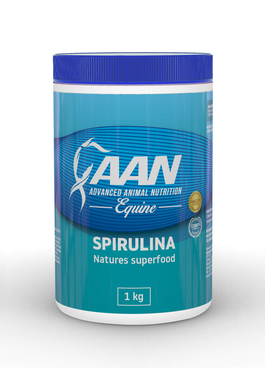 AAN Spirulina is a breathing supplement which improves your horses respiratory health
