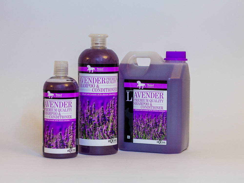 Lavender 2 in 1 Shampoo & Conditioner