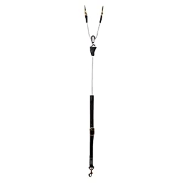 ReinRite Training Aid