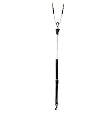 ReinRite Training Aid