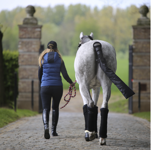 Kentucky Stable Bandage Pads