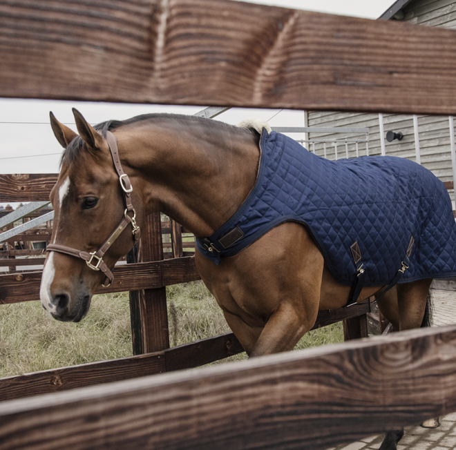 Kentucky Walker Rug