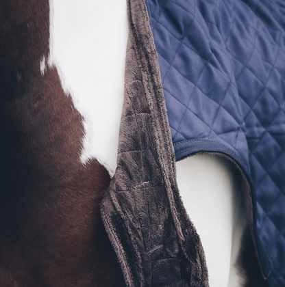 Kentucky Walker Rug