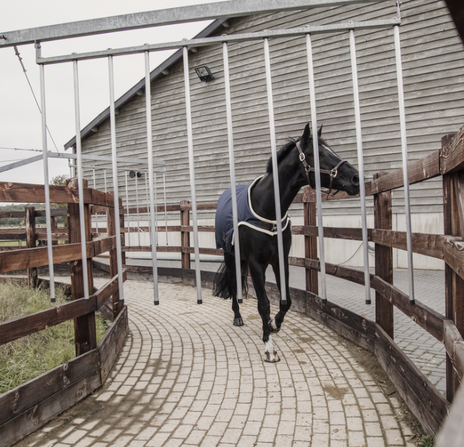 Kentucky Walker Rug Waterproof