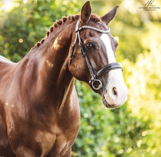 Lumiere 'Anastasia'-Brown (Convertible) Bridle