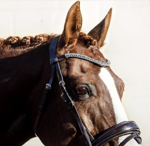 Lumiere 'Anastasia'-Brown (Convertible) Bridle