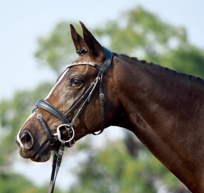 Lumiere 'Anastasia'-Black (Convertible) Bridle