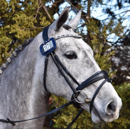 Lumiere 'Anastasia'-Black (Convertible) Bridle