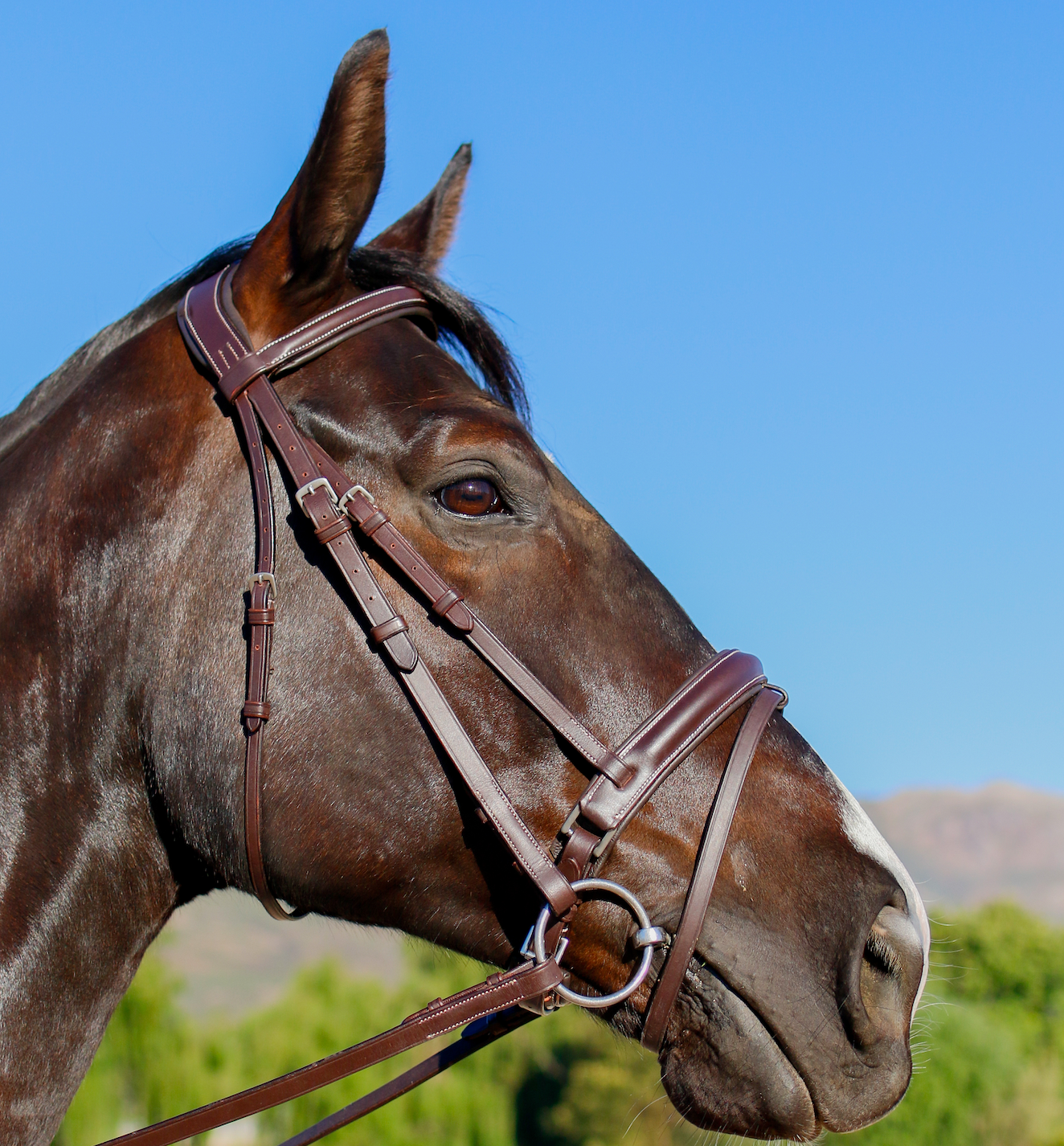 Indiana Anatomical Crank Bridle