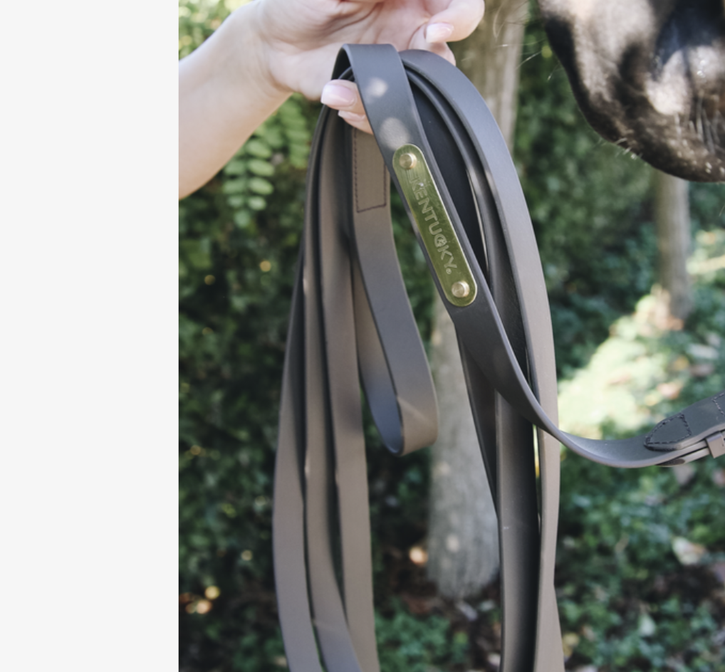 Kentucky Stallion Lead