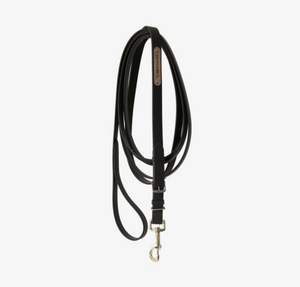 Kentucky Stallion Lead