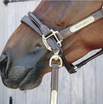 Load image into Gallery viewer, Kentucky Leather Covered Chain Lead
