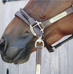 Kentucky Leather Covered Chain Lead