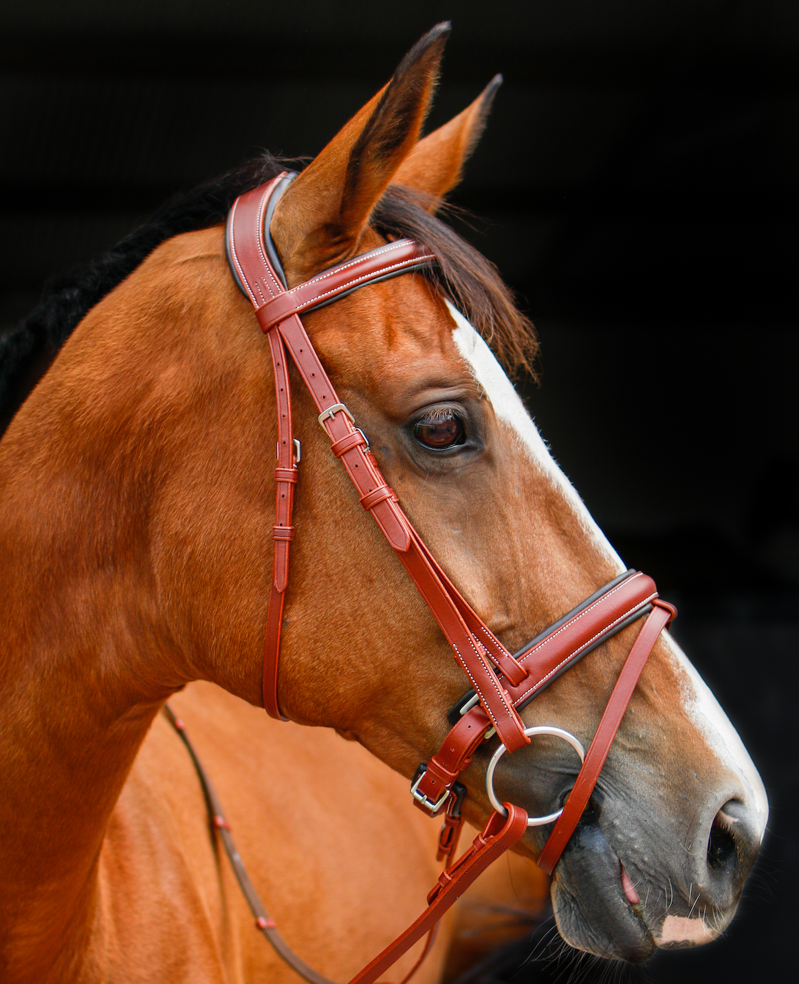Indiana Anatomical Crank Bridle
