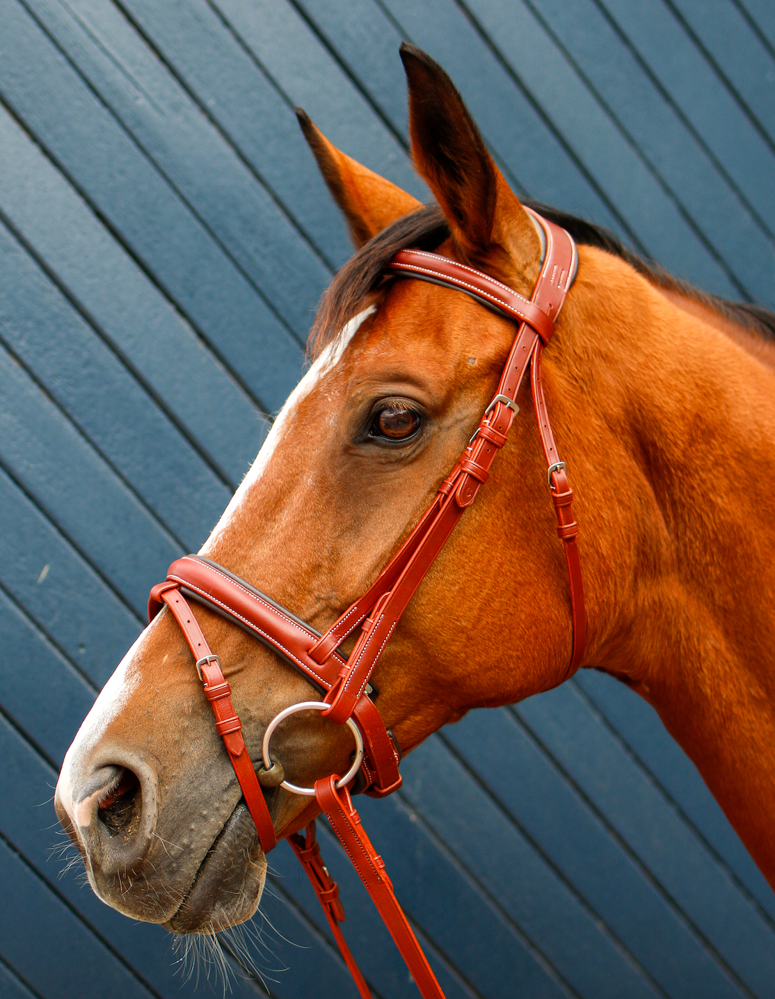 Indiana Anatomical Crank Bridle