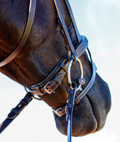 Equi Boutique Double noseband bridle