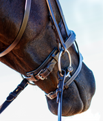 Load image into Gallery viewer, Equi Boutique Double noseband bridle
