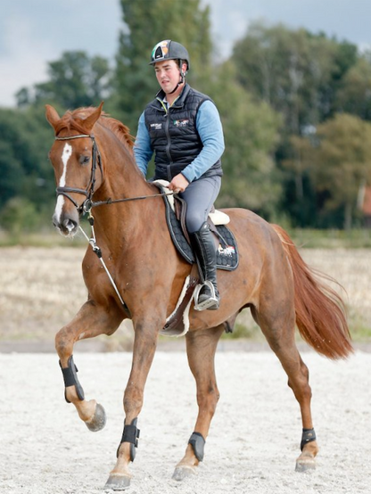 ReinRite Training Aid in use with a horse with high head carriage